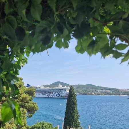 Apartment Ana Lozica With Terrace Dubrovnik Eksteriør bilde
