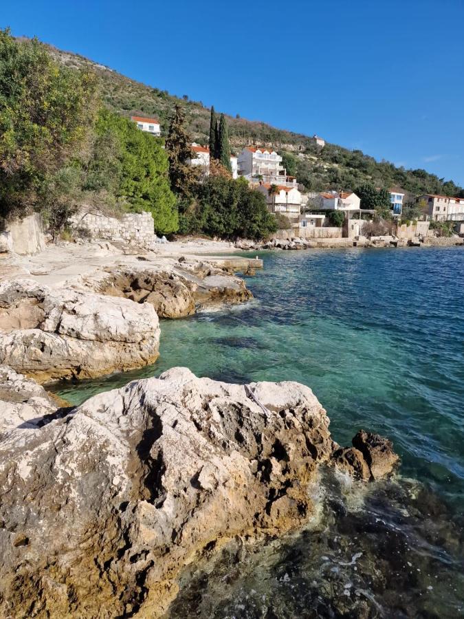 Apartment Ana Lozica With Terrace Dubrovnik Eksteriør bilde